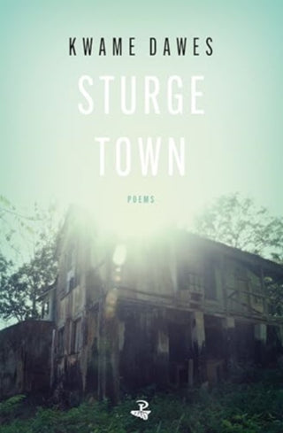 Supplemental image for 9781845235741 - Sturge Town