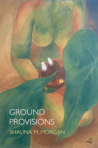 Cover image for 9781845236014 - Ground Provisions