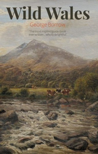 Cover image for 9781845244514 - Wild Wales