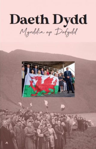 Cover image for 9781845246471 - Daeth Dydd