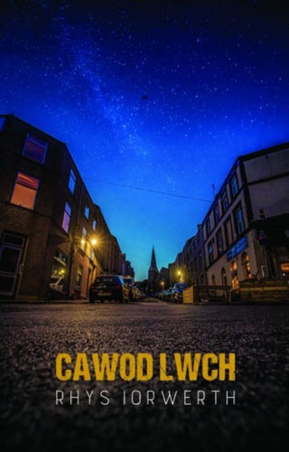 Cover image for 9781845278045 - Cawod Lwch