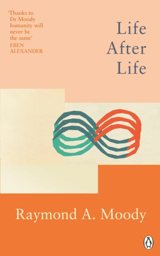 Cover image for 9781846046988 - Life After Life