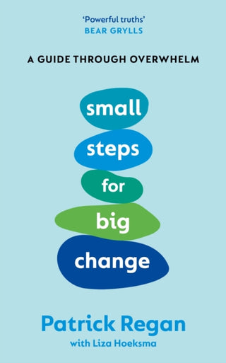Cover image for 9781846048944 - Small Steps for Big Change