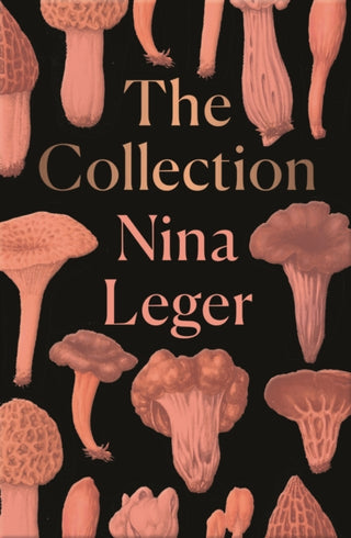 Cover image for 9781846276866 - The Collection