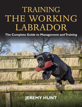 Cover image for 9781846893698 - Training the Working Labrador