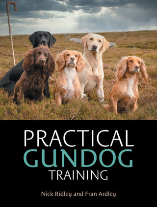 Cover image for 9781846894084 - Practical Gundog Training