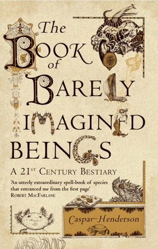Cover image for 9781847082442 - The Book of Barely Imagined Beings
