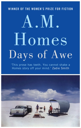 Cover image for 9781847083258 - Days of Awe