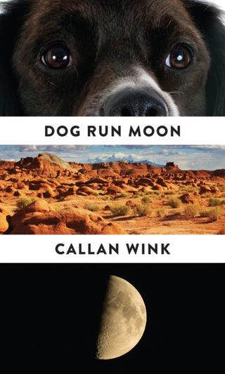 Cover image for 9781847088147 - Dog Run Moon