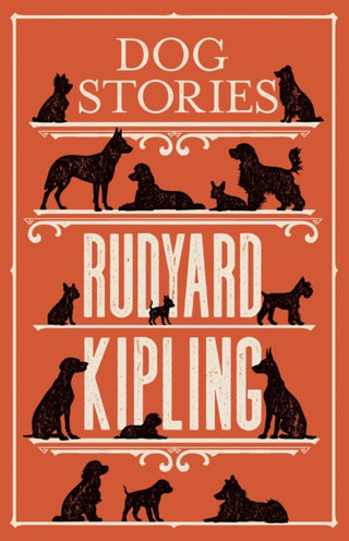 Cover image for 9781847493972 - Dog Stories