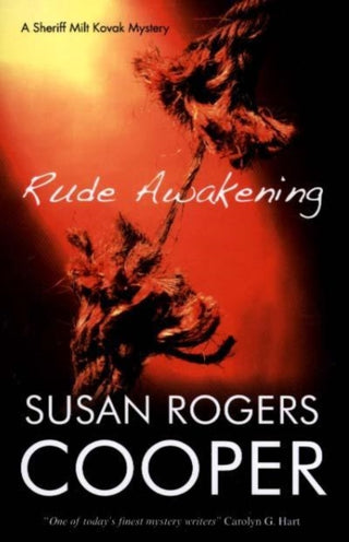 Cover image for 9781847511607 - Rude Awakening