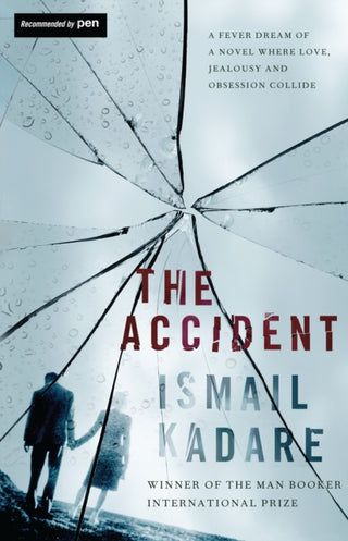 Cover image for 9781847673404 - The Accident