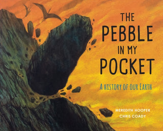 Cover image for 9781847807687 - The Pebble in My Pocket