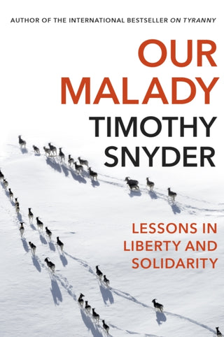 Cover image for 9781847926661 - Our Malady