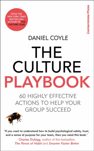 Cover image for 9781847943873 - The Culture Playbook