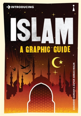 Cover image for 9781848310841 - Introducing Islam