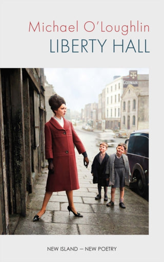 Cover image for 9781848407978 - Liberty Hall