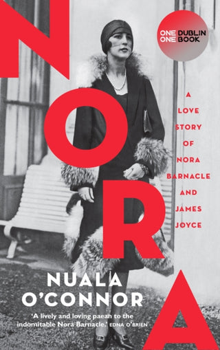 Cover image for 9781848408500 - NORA