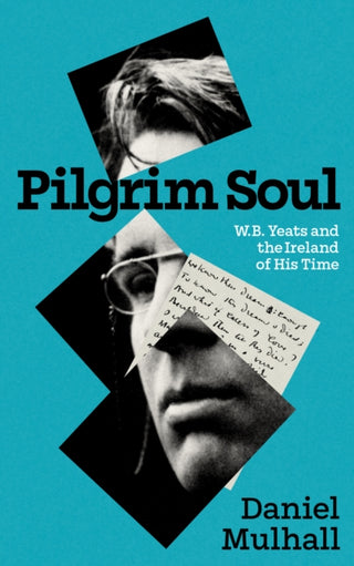 Cover image for 9781848408814 - Pilgrim Soul