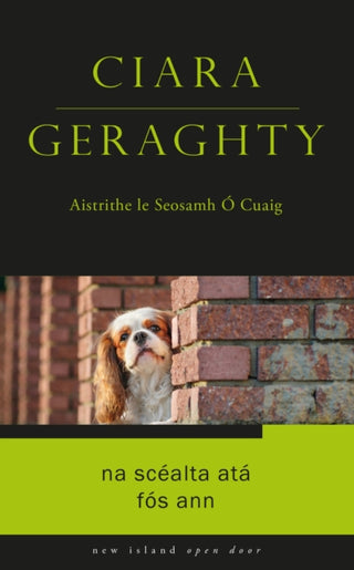 Cover image for 9781848408975 - Na Scéalta Atá Fós Ann