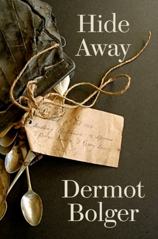 Supplemental image for 9781848409385 - Hide Away