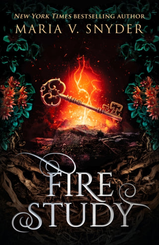 Cover image for 9781848452411 - Fire Study