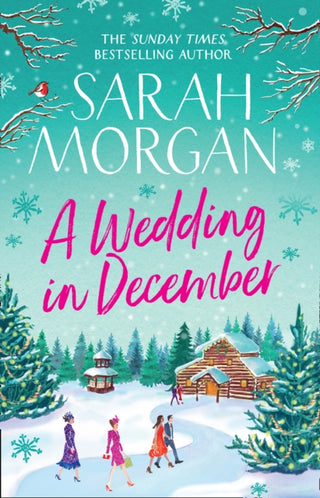 Cover image for 9781848457935 - A Wedding In December
