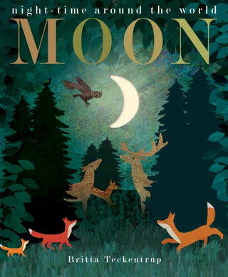 Supplemental image for 9781848698673 - Moon
