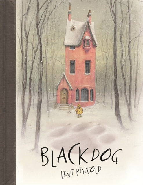 Cover image for 9781848777484 - Black Dog