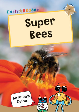 Cover image for 9781848866768 - Super Bees