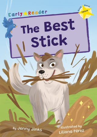 Cover image for 9781848869981 - The Best Stick