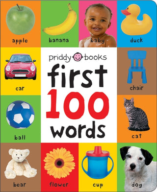 Supplemental image for 9781849154208 - First 100 Words