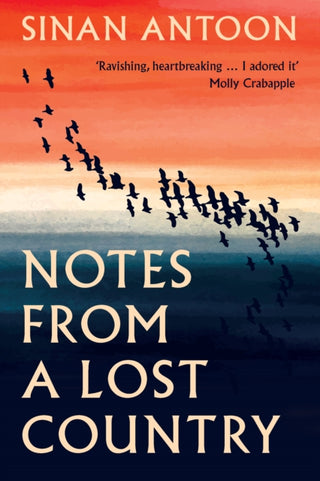 Cover image for 9781849251235 - Notes from a Lost Country