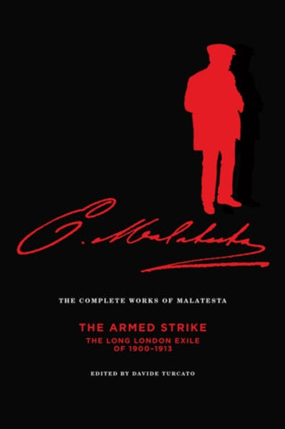 Cover image for 9781849351492 - The Complete Works Of Malatesta Vol V