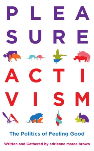 Cover image for 9781849353267 - Pleasure Activism