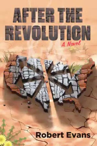 Cover image for 9781849354622 - After the Revolution