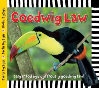 Cover image for 9781849671996 - Cyfres Dwlu Dysgu: Coedwig Law