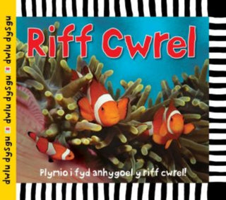 Cover image for 9781849672009 - Cyfres Dwlu Dysgu: Riff Cwrel