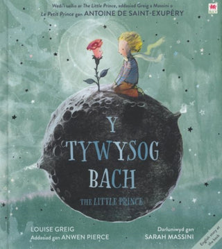 Cover image for 9781849676007 - Y Tywysog Bach / The Little Prince