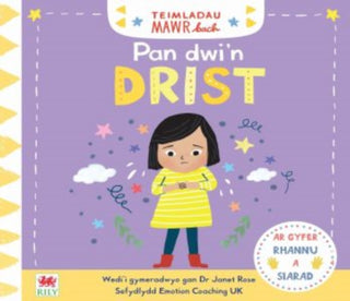 Cover image for 9781849676120 - Teimladau Mawr Bach: Pan Dwi'n Drist