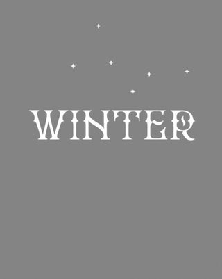 Cover image for 9781849766579 - Winter