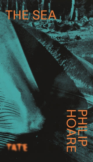 Cover image for 9781849768276 - Look Again: The Sea