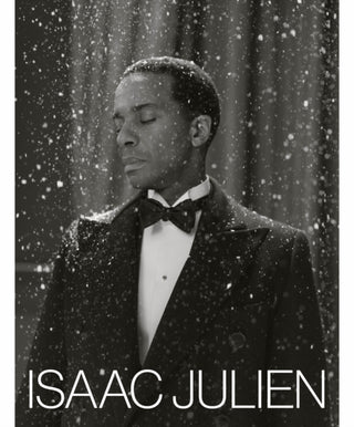 Cover image for 9781849768726 - Isaac Julien