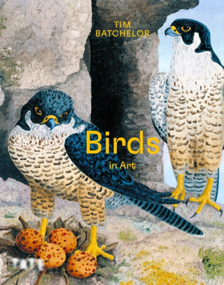 Cover image for 9781849768733 - Birds in Art