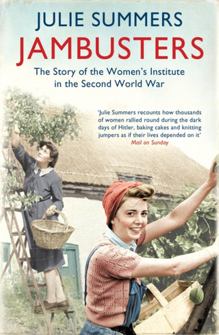 Cover image for 9781849832212 - Jambusters