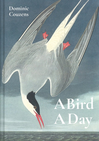 Cover image for 9781849945868 - A Bird A Day