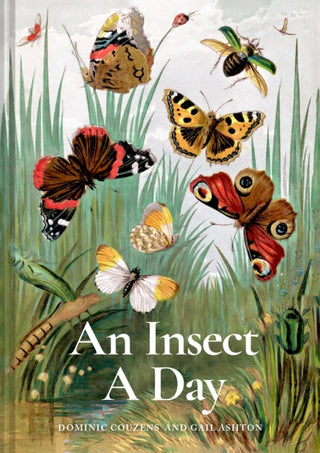 Cover image for 9781849947947 - An Insect A Day