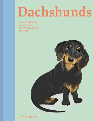Cover image for 9781849948401 - Dachshunds