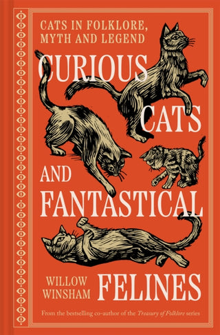 Cover image for 9781849949736 - Curious Cats and Fantastical Felines