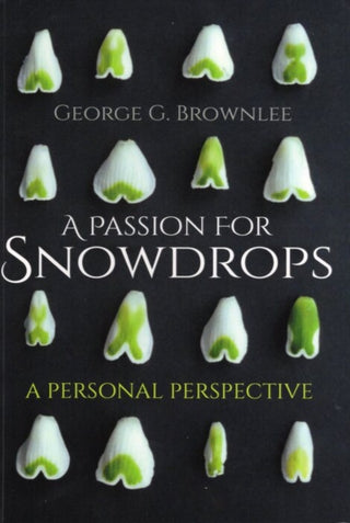 Supplemental image for 9781849954938 - A Passion for Snowdrops